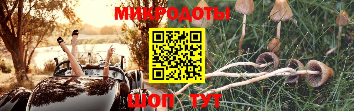 Псилоцибиновые грибы Magic Shrooms Нальчик