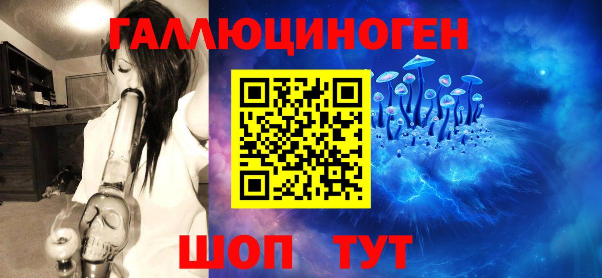 Нальчик  Галлюциногенные грибы мухоморы  где продают   Вход с VPN 